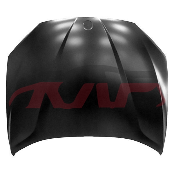 For Bmw 3656e84 2009-2015&nbsp;machine Cover&nbsp;41002993151, Bmw   Car Body Parts, X1 List Of Auto Parts-41002993151