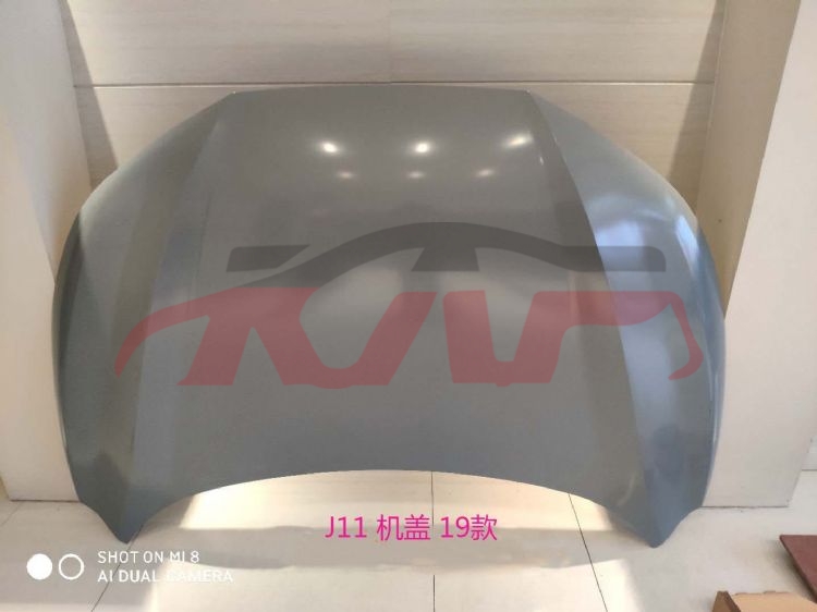 For Nissan 13512019 Qashqai/rogue Sport&nbsp;hood&nbsp;f51004eaaa, Qashqai Auto Part Price, Nissan  Car Lamps-F51004EAAA