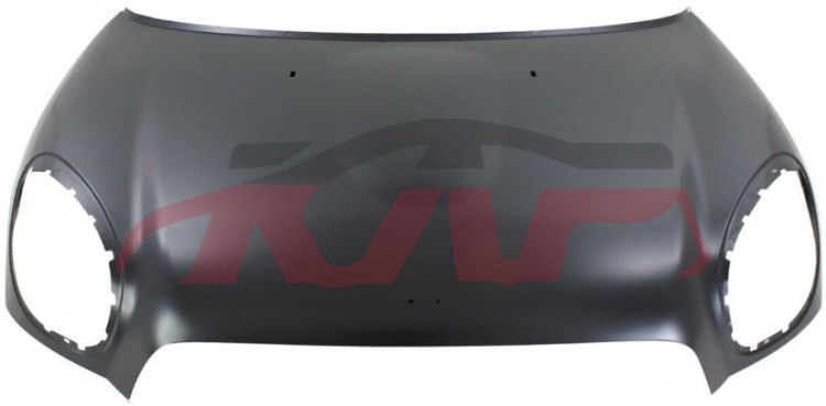 For Bmw 650r60 2010-2017&nbsp;engine Cover2.0)&nbsp;41009805935, Bmw  Auto Part, Mini Car Parts-41009805935